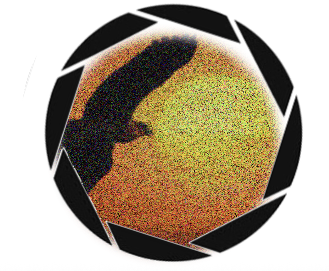 Un’aquila sullo sfondo del sole vista attraverso il diaframma di una macchina fotografica