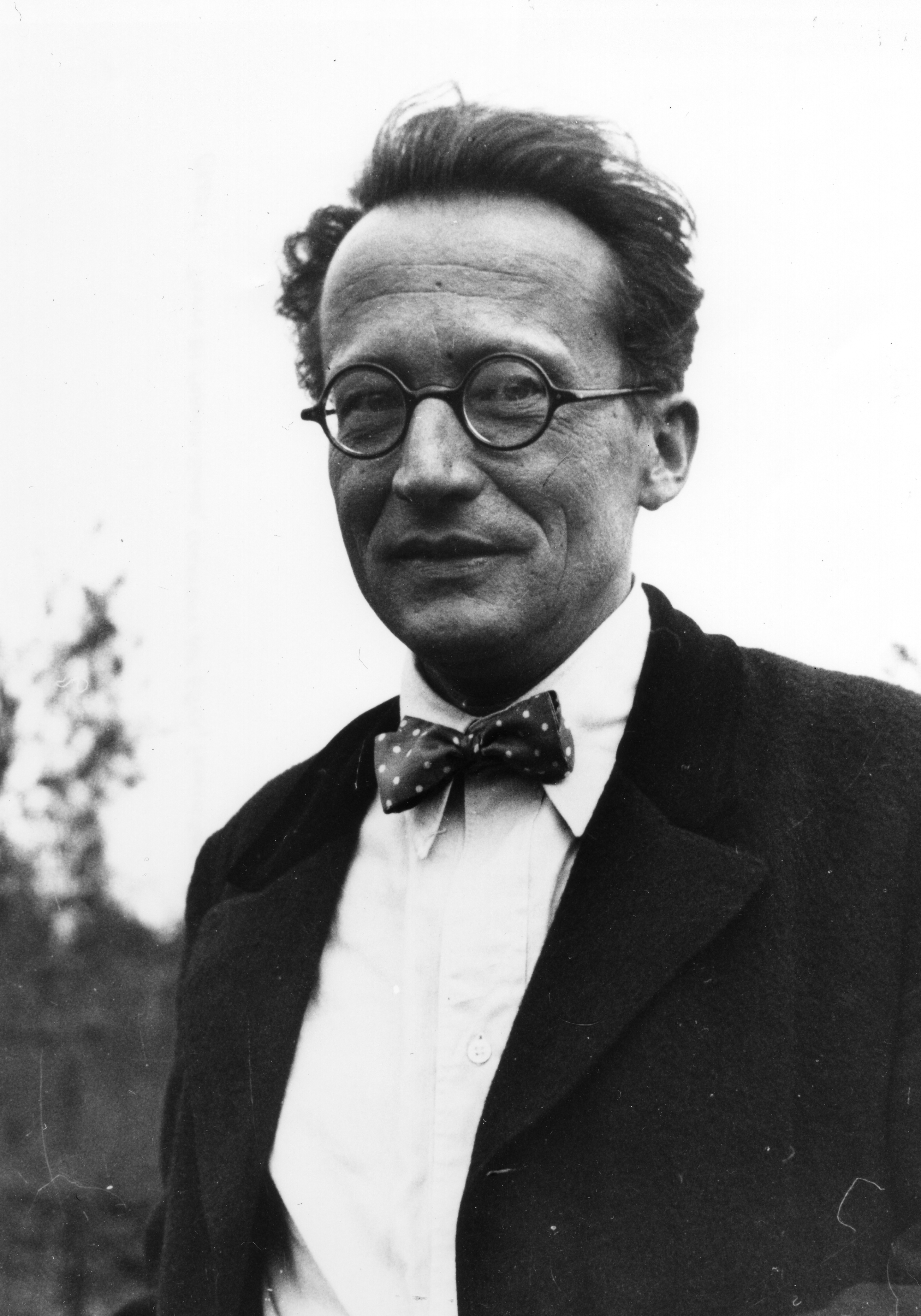Il fisico Erwin Schrödinger