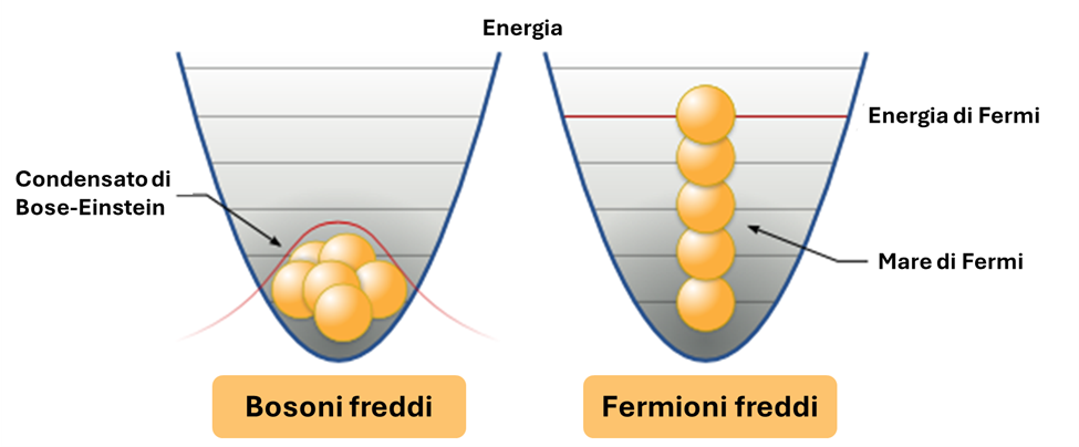 Rappresentazione di bosoni e fermioni