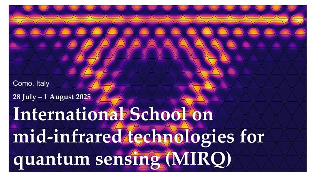  MIRQ Summer School