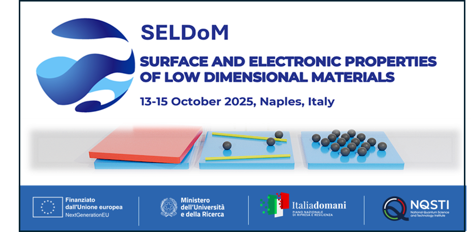 Seldom Workshop in NQSTI